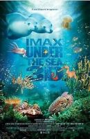 Under the sea 3D